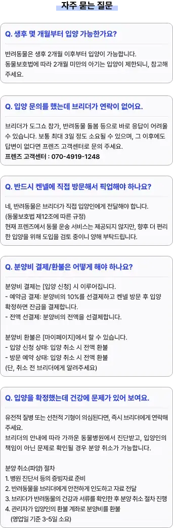 자주 묻는 질문